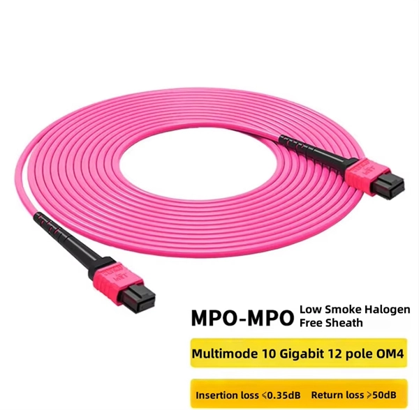 10 Gigabit SFP Fiber to Electrical Port Module